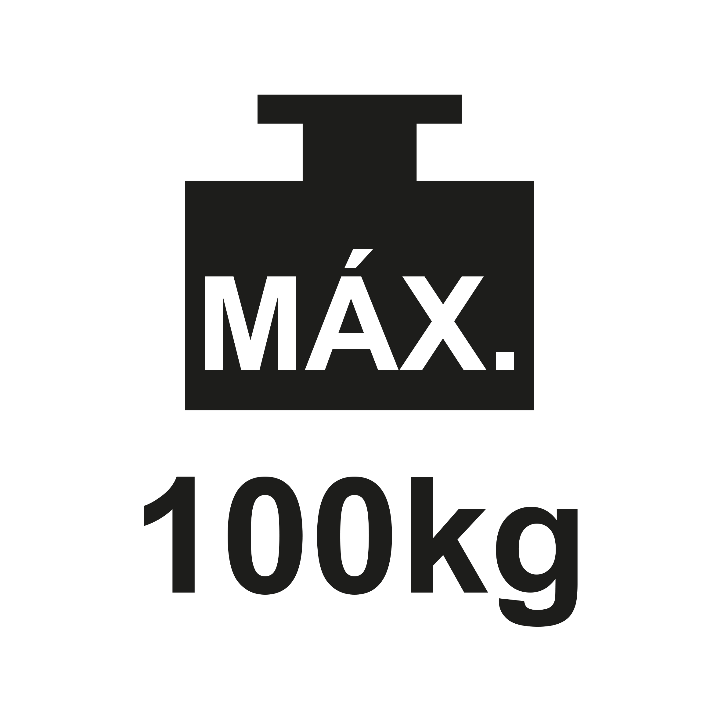 Peso máximo 100kg